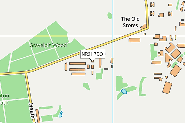 NR21 7DQ map - OS VectorMap District (Ordnance Survey)