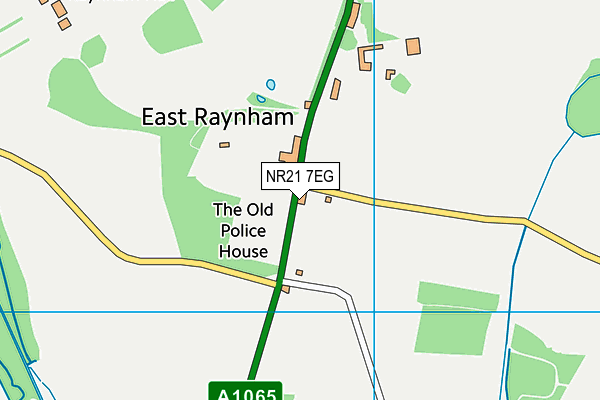 NR21 7EG map - OS VectorMap District (Ordnance Survey)