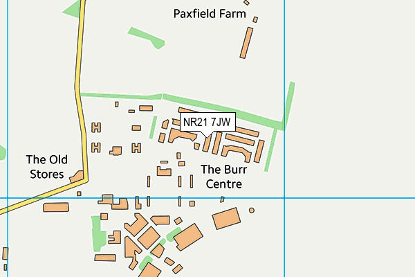 NR21 7JW map - OS VectorMap District (Ordnance Survey)