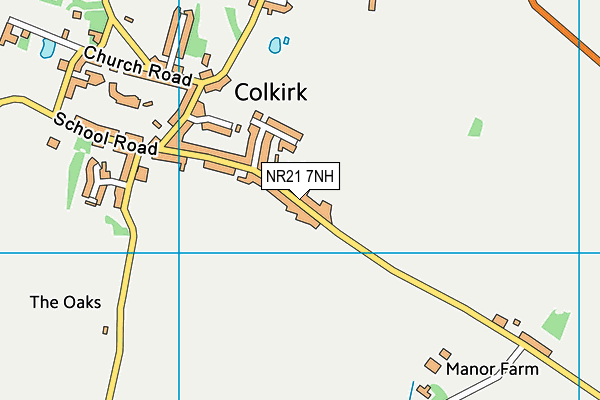 NR21 7NH map - OS VectorMap District (Ordnance Survey)