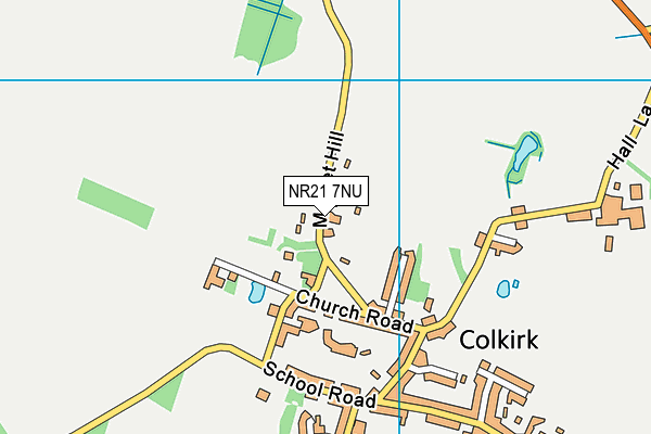 NR21 7NU map - OS VectorMap District (Ordnance Survey)