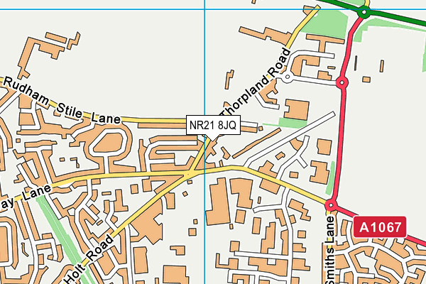 NR21 8JQ map - OS VectorMap District (Ordnance Survey)