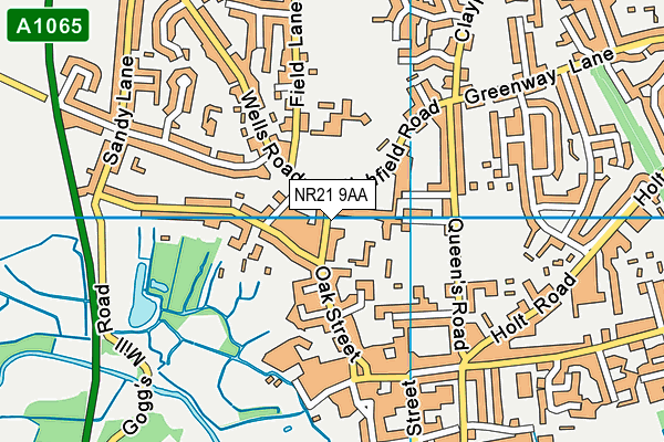 NR21 9AA map - OS VectorMap District (Ordnance Survey)