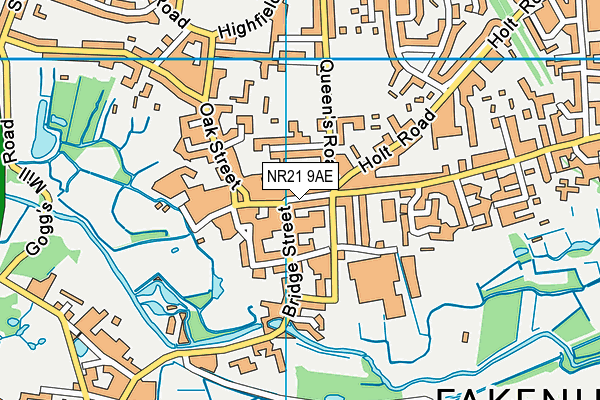NR21 9AE map - OS VectorMap District (Ordnance Survey)