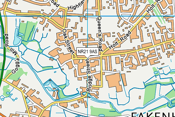NR21 9AS map - OS VectorMap District (Ordnance Survey)