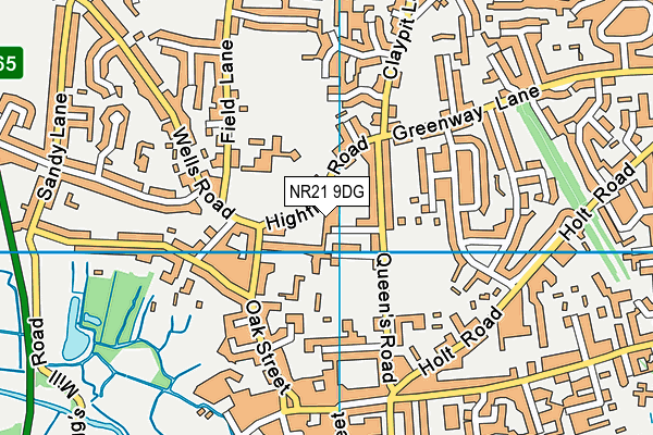 NR21 9DG map - OS VectorMap District (Ordnance Survey)