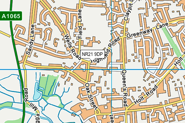 NR21 9DP map - OS VectorMap District (Ordnance Survey)