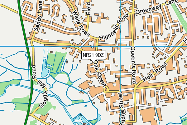 NR21 9DZ map - OS VectorMap District (Ordnance Survey)