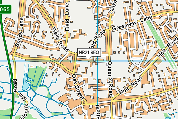 NR21 9EQ map - OS VectorMap District (Ordnance Survey)