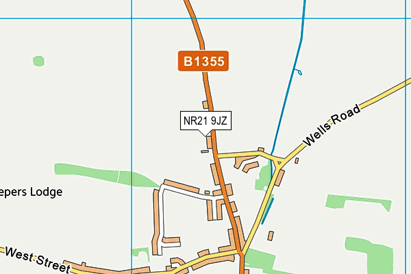 NR21 9JZ map - OS VectorMap District (Ordnance Survey)