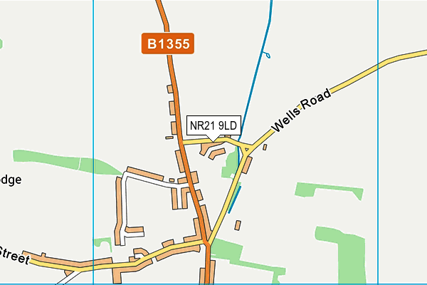 NR21 9LD map - OS VectorMap District (Ordnance Survey)