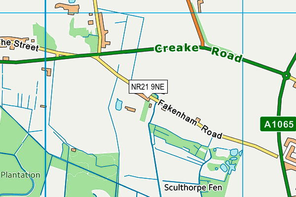NR21 9NE map - OS VectorMap District (Ordnance Survey)