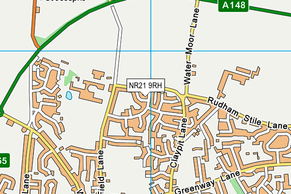 NR21 9RH map - OS VectorMap District (Ordnance Survey)