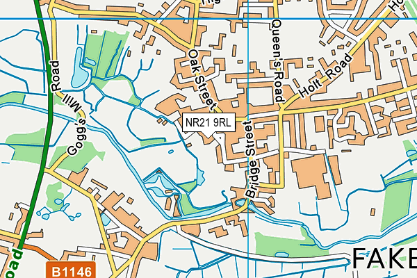 NR21 9RL map - OS VectorMap District (Ordnance Survey)