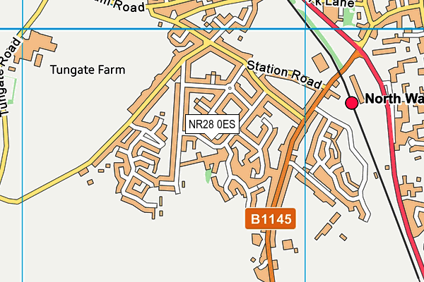 Millfield Primary School map (NR28 0ES) - OS VectorMap District (Ordnance Survey)