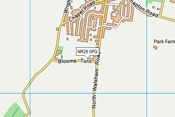 Blooms Turn Playing Fields map (NR28 0PQ) - OS VectorMap District (Ordnance Survey)