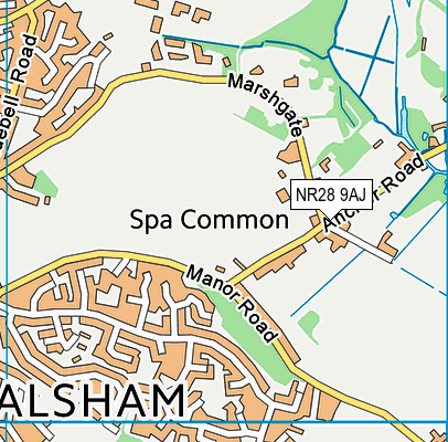 Map of VICARAGE COURT (NORTH WALSHAM) RESIDENTS ASSOCIATION LIMITED at district scale