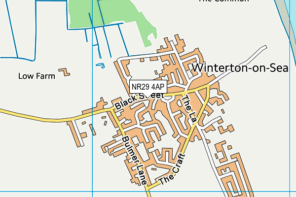 Winterton Primary School and Nursery map (NR29 4AP) - OS VectorMap District (Ordnance Survey)