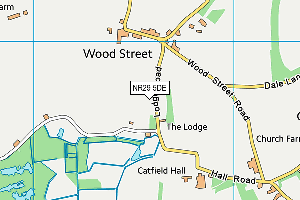 NR29 5DE map - OS VectorMap District (Ordnance Survey)