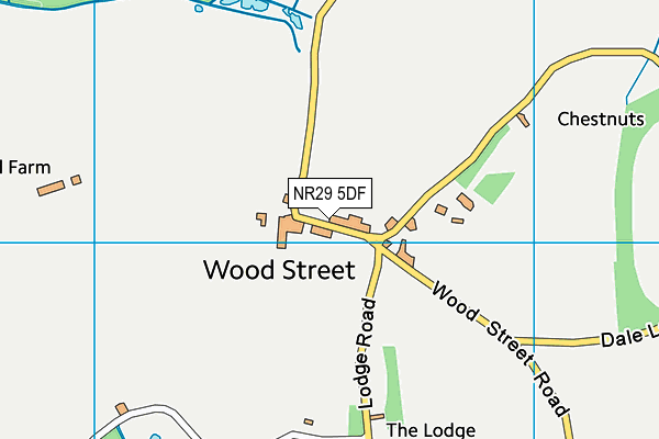 NR29 5DF map - OS VectorMap District (Ordnance Survey)