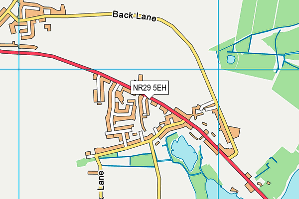 Rollesby Primary School map (NR29 5EH) - OS VectorMap District (Ordnance Survey)