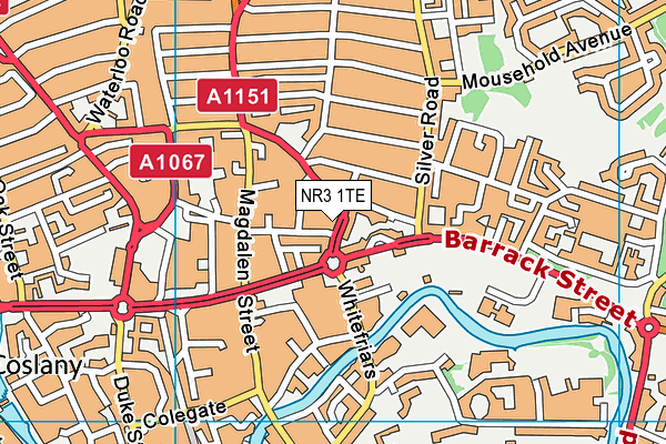 NR3 1TE map - OS VectorMap District (Ordnance Survey)