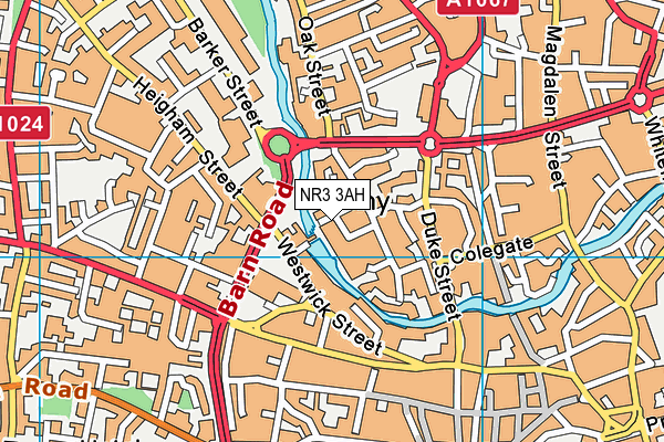 NR3 3AH map - OS VectorMap District (Ordnance Survey)