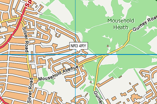 NR3 4RY map - OS VectorMap District (Ordnance Survey)