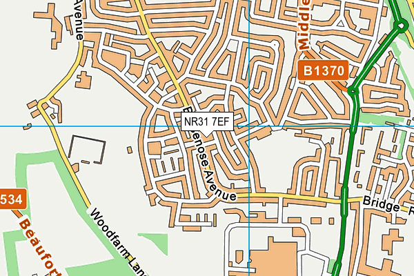 NR31 7EF map - OS VectorMap District (Ordnance Survey)