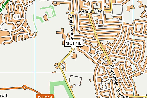 NR31 7JL map - OS VectorMap District (Ordnance Survey)
