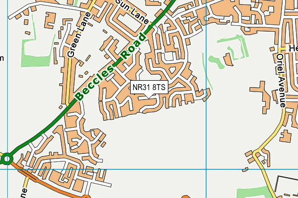NR31 8TS map - OS VectorMap District (Ordnance Survey)