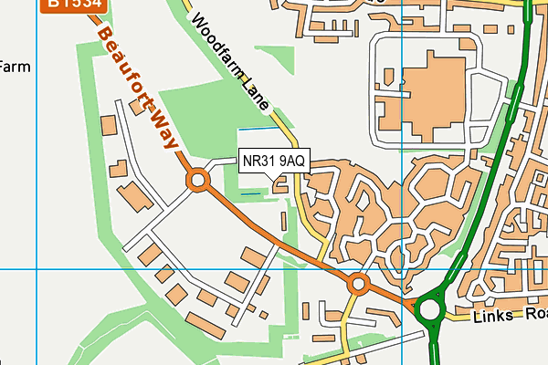 NR31 9AQ map - OS VectorMap District (Ordnance Survey)