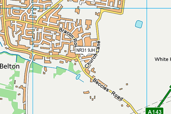 NR31 9JH map - OS VectorMap District (Ordnance Survey)