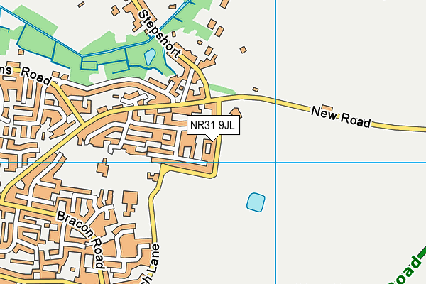 NR31 9JL map - OS VectorMap District (Ordnance Survey)