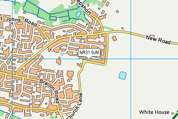 NR31 9JN map - OS VectorMap District (Ordnance Survey)