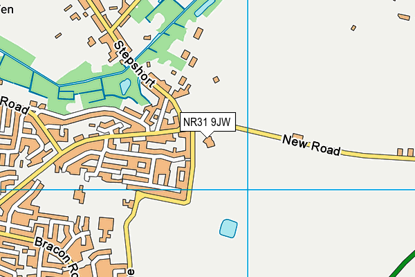 NR31 9JW map - OS VectorMap District (Ordnance Survey)