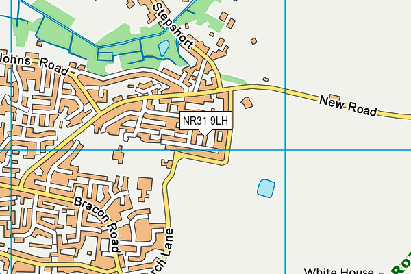 NR31 9LH map - OS VectorMap District (Ordnance Survey)