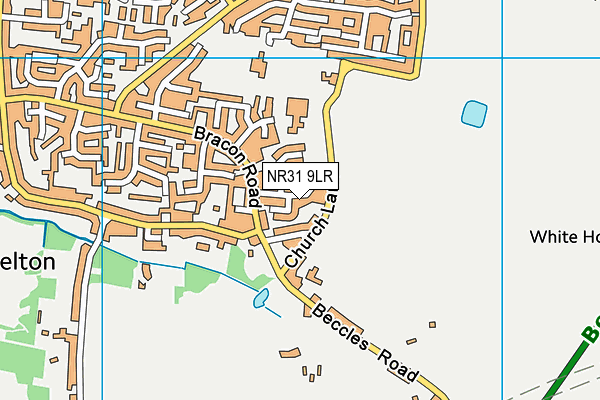 NR31 9LR map - OS VectorMap District (Ordnance Survey)