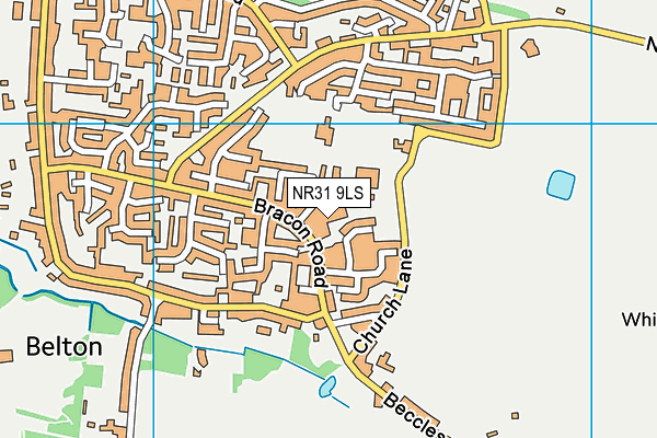NR31 9LS map - OS VectorMap District (Ordnance Survey)