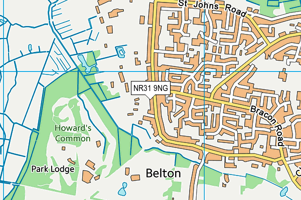 NR31 9NG map - OS VectorMap District (Ordnance Survey)