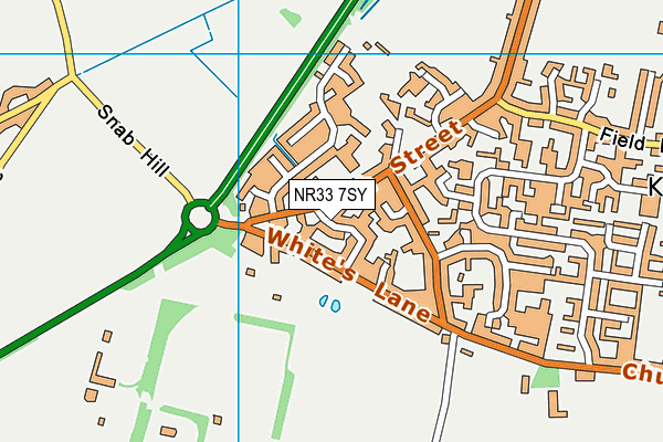 NR33 7SY map - OS VectorMap District (Ordnance Survey)