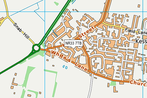 NR33 7TB map - OS VectorMap District (Ordnance Survey)