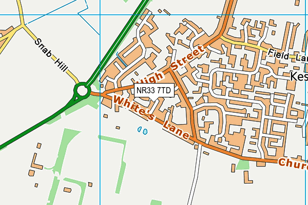 NR33 7TD map - OS VectorMap District (Ordnance Survey)