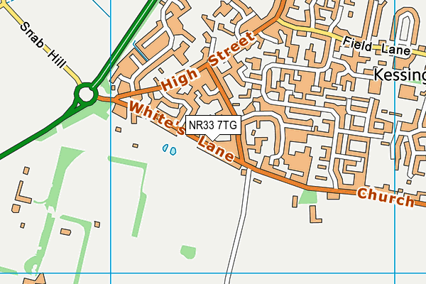 NR33 7TG map - OS VectorMap District (Ordnance Survey)
