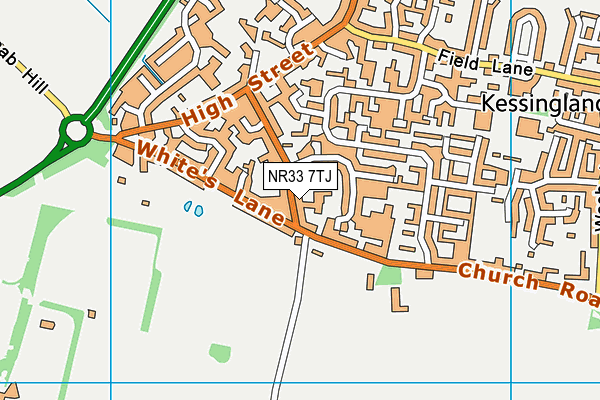 NR33 7TJ map - OS VectorMap District (Ordnance Survey)