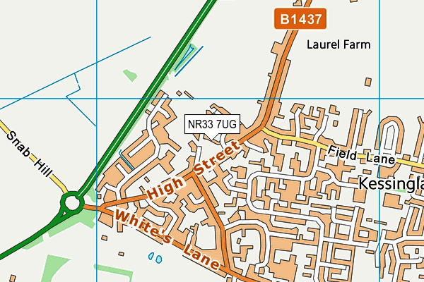 NR33 7UG map - OS VectorMap District (Ordnance Survey)