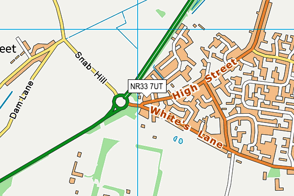 NR33 7UT map - OS VectorMap District (Ordnance Survey)