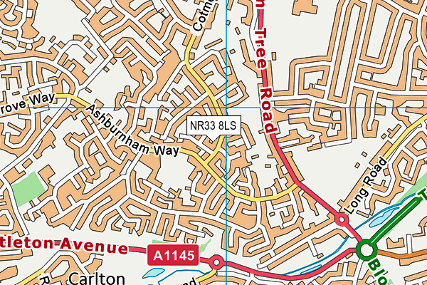 NR33 8LS map - OS VectorMap District (Ordnance Survey)