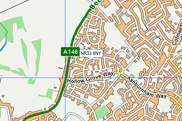 NR33 8NY map - OS VectorMap District (Ordnance Survey)