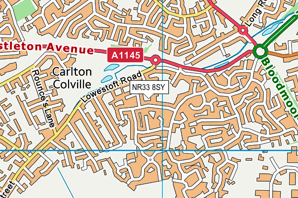 NR33 8SY map - OS VectorMap District (Ordnance Survey)